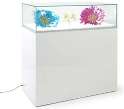 39"w Glass Display Case, LED Surface Light, Removable Top, Floor Standing - White