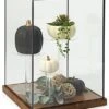 16.25" Countertop Display W/ Lift-Off Top, Black Copper Edging, Wooden Base - Clear -LuxeDisplay Shop dcpipell.rw preview