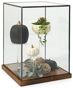 16.25" Countertop Display W/ Lift-Off Top, Black Copper Edging, Wooden Base - Clear