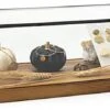 6.75" Countertop Display W/ Lift-Off Top, Black Copper Edging, Wooden Base - Clear
