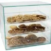 Food Display Case With (3) Plastic Removable Trays - Green Acrylic -LuxeDisplay Shop fdcs3tr.rw preview