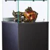 Display Case W/ Tempered Glass Frameless Top, Black Cabinet Base & Locking Door 2 Display Case W/ Tempered Glass Frameless Top, Black Cabinet Base & Locking Door -LuxeDisplay Shop frctwrbk.rw preview