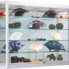 5x3 Wall Mounted LED Display Case W/Mirror Back, Sliding Doors, Locking - Silver 1 5x3 Wall Mounted LED Display Case W/Mirror Back, Sliding Doors, Locking - Silver -LuxeDisplay Shop wc6012leds.rw preview