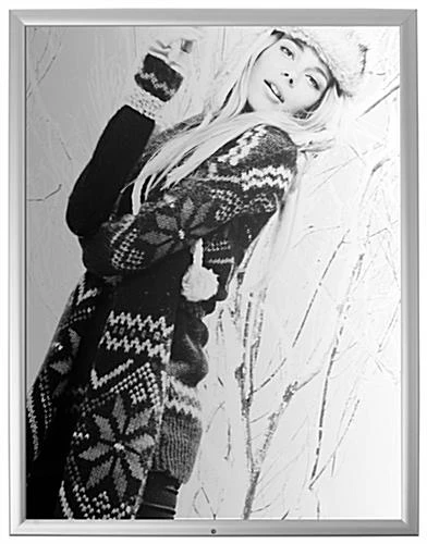 22 X 28 Outdoor Poster Frame For Wall, Snap Open With Lock - Silver 4 22 X 28 Outdoor Poster Frame For Wall, Snap Open With Lock - Silver - Image 2