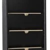 14”w Hanging File Holder, 5-Tiered, Wall Mount, HIPAA Compliant - Black -LuxeDisplay Shop wdhc36bk.rw preview