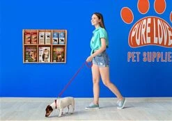 2-Tiered Wood Literature Wall Rack, 4"/8.5"w, 6-12 Pockets - Light Oak 17 2-Tiered Wood Literature Wall Rack, 4"/8.5"w, 6-12 Pockets - Light Oak -LuxeDisplay Shop wmlm6lo.ra7 preview